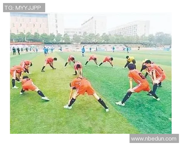 足球的事儿：从草根到职业联赛的精彩旅程与背后故事